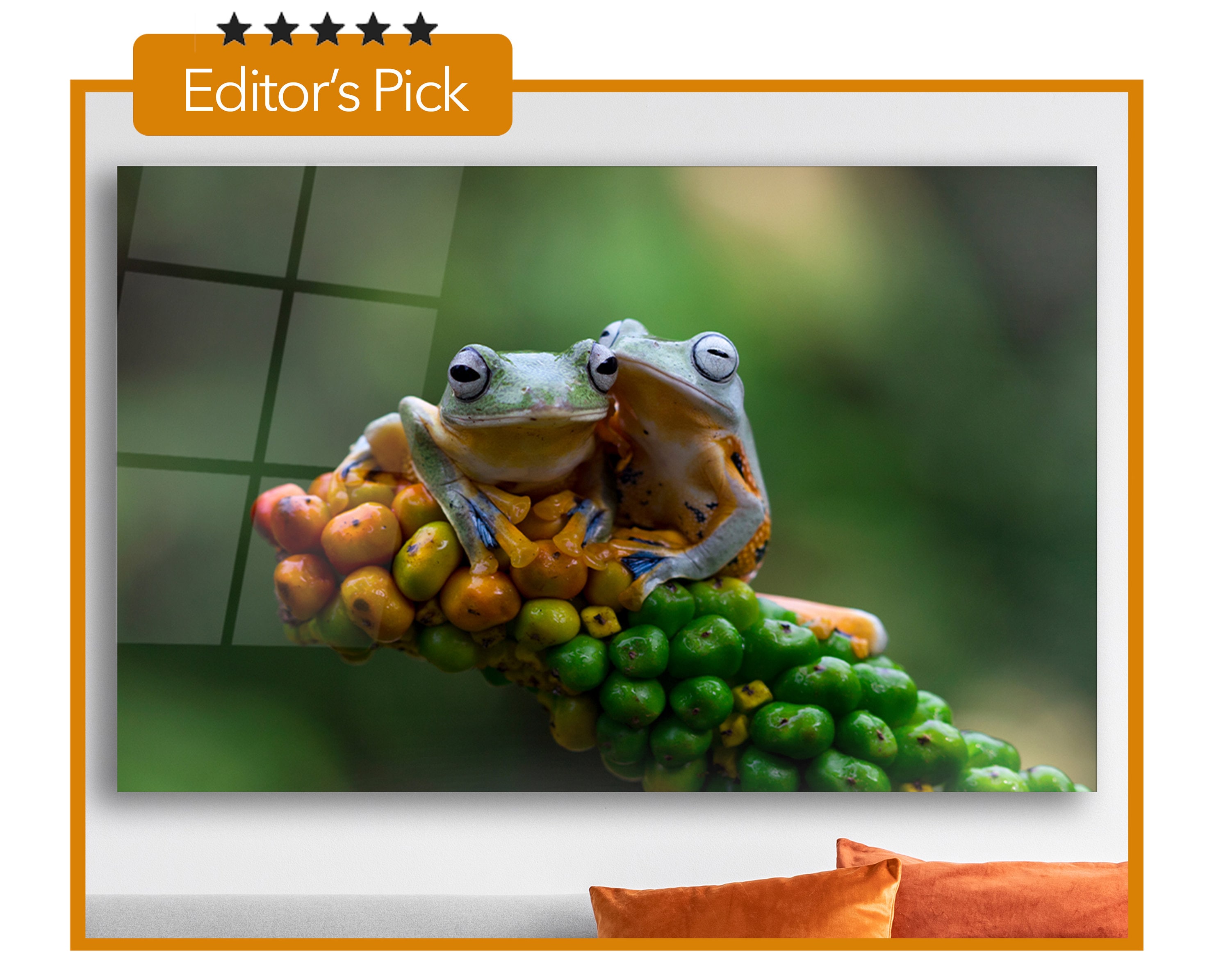 A Closeup Beautiful Tree Frogs - Glass Wall Art - Housewarming Gift ...