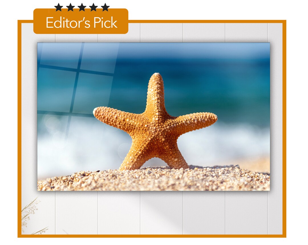 Glass Wall Art - Starfish Seashells on the Sand by the Sea ...