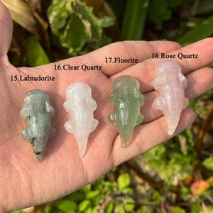 5cm Hand Carved Crystal Salamander, Gemstone Salamander Figurine, Crystal Fish, Healing Crystal, Home Decor, Crystal Gift Bild 5