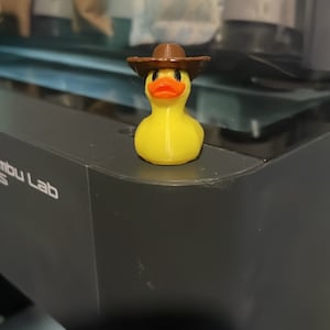 3D Printed Cruise Ducks, Magnetic Cruising Ducks, Ducks for Cruises, 3D Printed Ducks, Ducks for Office, Cowboy Duck, Cowboy Cruising Duck