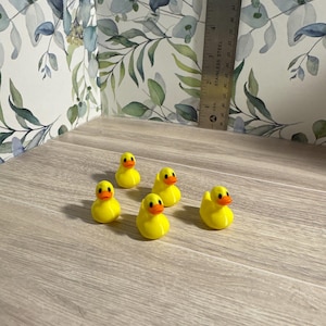 Cruising Ducks with a Magnetic Twist: Add Some Fun to Your Space, Magnetic Cruising Ducks, Ducks with Magnets, Unique Cruising Ducks