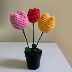 flores