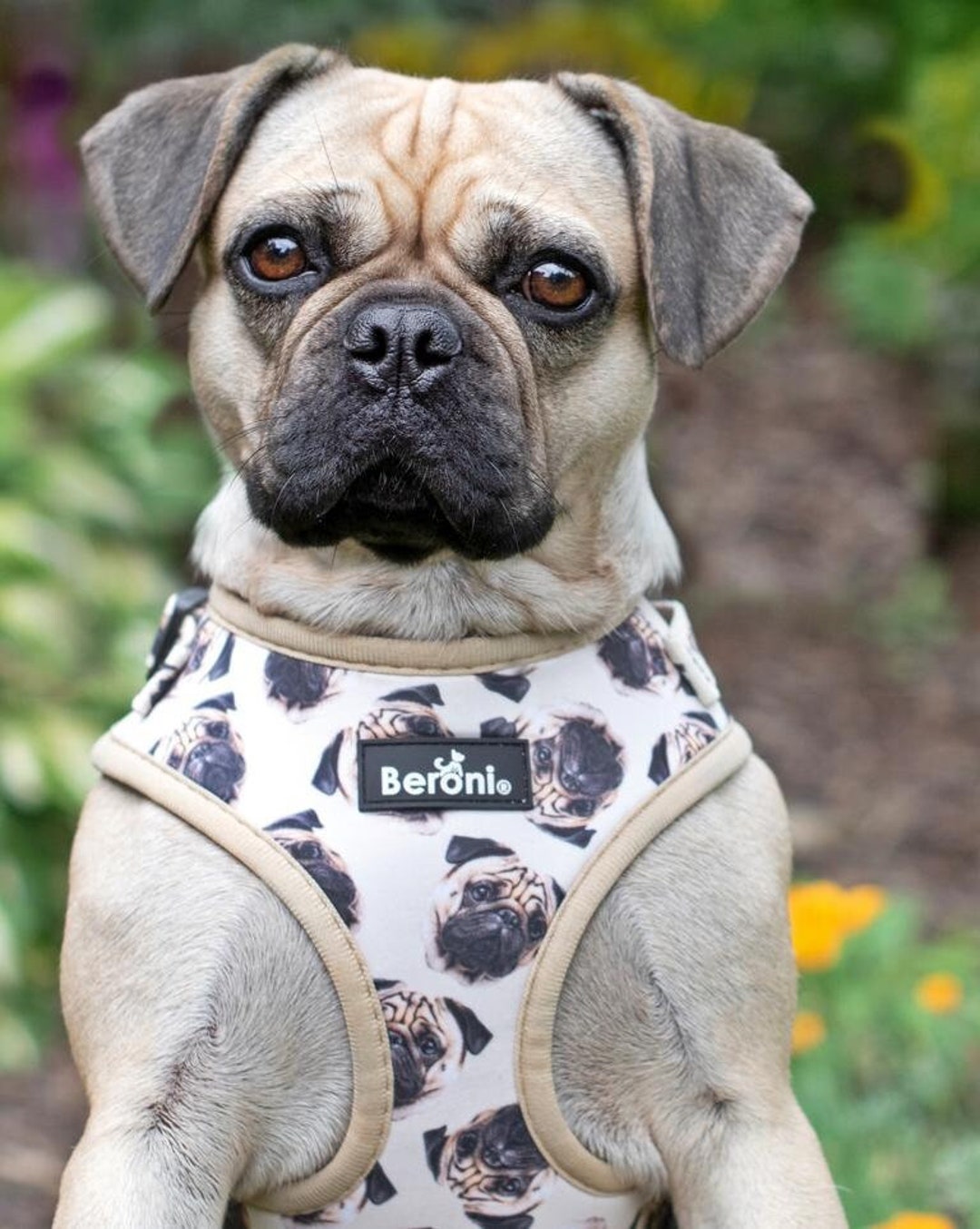 Dog Harness Pug Soft Harness Pug Chest Harness Pug Harness Adjustable