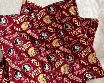 Florida State Seminoles Plate Cozy