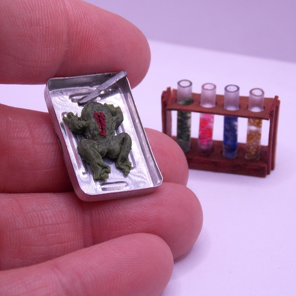 1:12th scale miniature Science frog dissection and test tubes in rack. Handmade OOAK scientific/laboratory miniature set.
