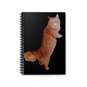Spiral Notebook - Ruled Line- cat photo- animal lover notebook