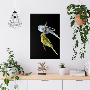 Budgie Friends, Parakeet Photo Premium Matte Posters