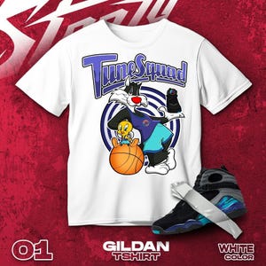 AJ 8 Aqua Black White T Shirt Match Basketball Squad Cat And Bird- Gildan Shirt