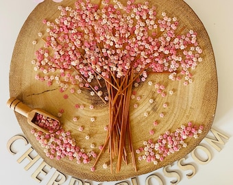 Spring Blossom Sensory Play Kit, Cherry Blossom Sensory Bin, Sensory Fillers, Sensory Pasta, Themed Sensory Play, Easy Set Up, Montessori