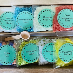 Dinosaur Themed Potion Kit, Potion Making Kit, Potion Kit Kids, Sensory Play, Natural Play, Potion Making, Outdoor Play, STEM, Early Years