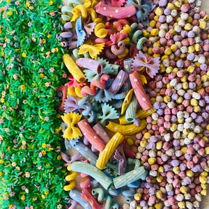 Pu&ograve; includere: Una vista dall'alto mostra un assortimento colorato di pasta e riso tinti. L'immagine &egrave; divisa in tre sezioni verticali: riso verde con minuscoli fiori, un mix di forme di pasta dai colori pastello e piccole perle rotonde e macchiate.