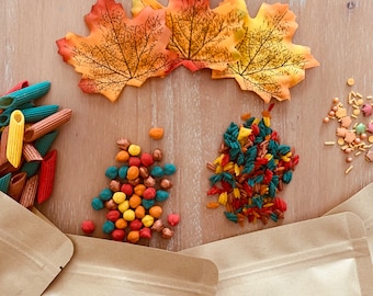 Riempitivi per contenitori sensoriali a tema autunnale, kit da cucina in fango, riso e pasta autunnale con ceci, gioco sensoriale, gioco naturale, all'aperto, STEM, prima infanzia