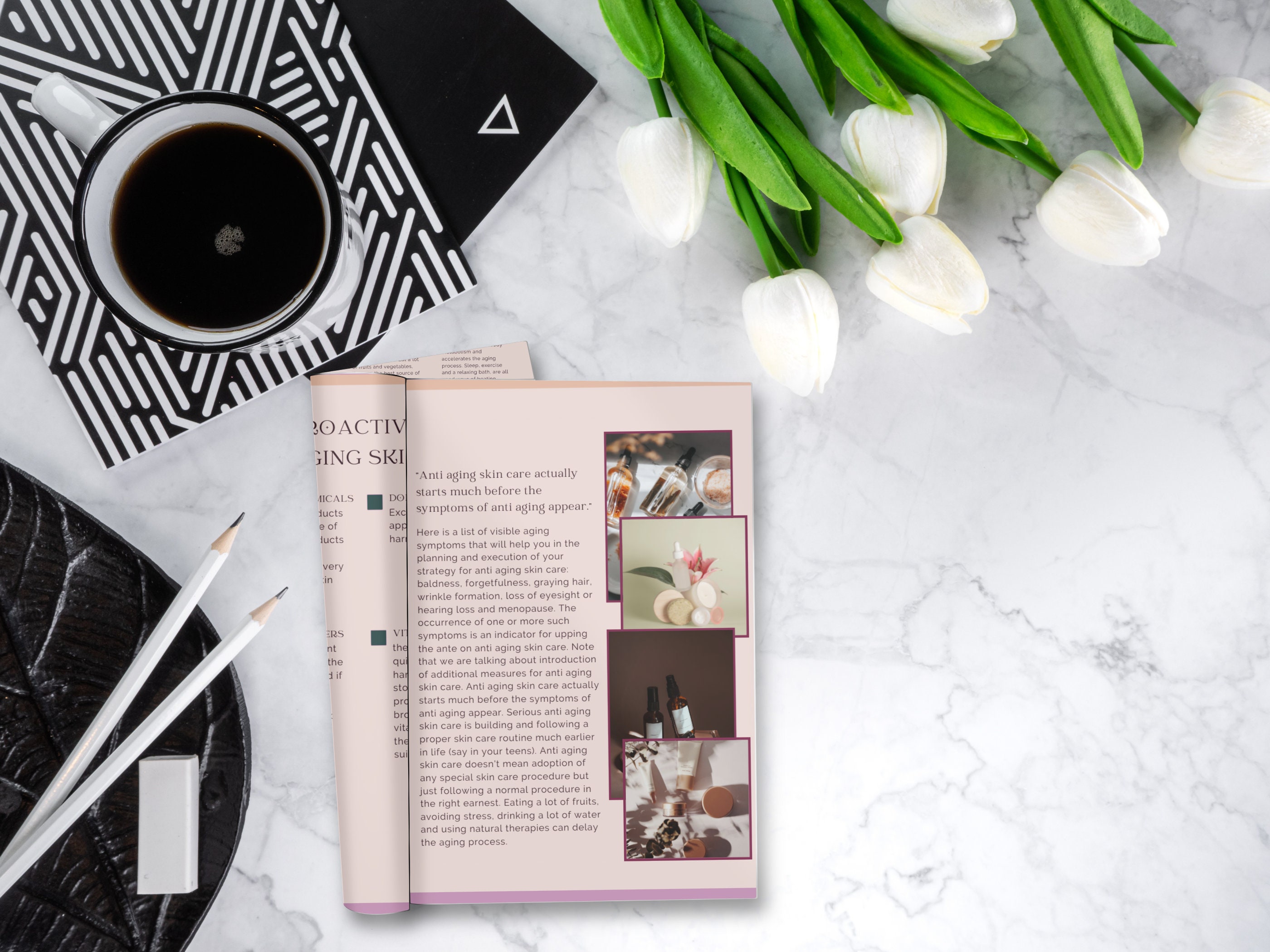 Skincare Ebook Editable Template Esthetician Ebook Course Content