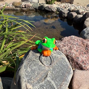 Op de afbeelding: Een grillig kikkerbeeldje met een groene kop, oranje poten en een blauw shirt, met een zilveren ring. De kikker zit op een grijze rots bij een vijver, met groene planten op de achtergrond.