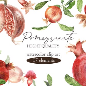 Watercolor POMEGRANATE clip art, Bloom fruit botanical clipart, Jewish new year frame png, Rosh Hashanah, Shana Tova.