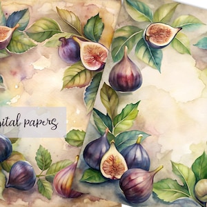 7 Digital Papers | Watercolor Figs frames | A4 Size Hand-Drawn Fig Paper | Printable for Scrapbooking, Invitations, Crafts