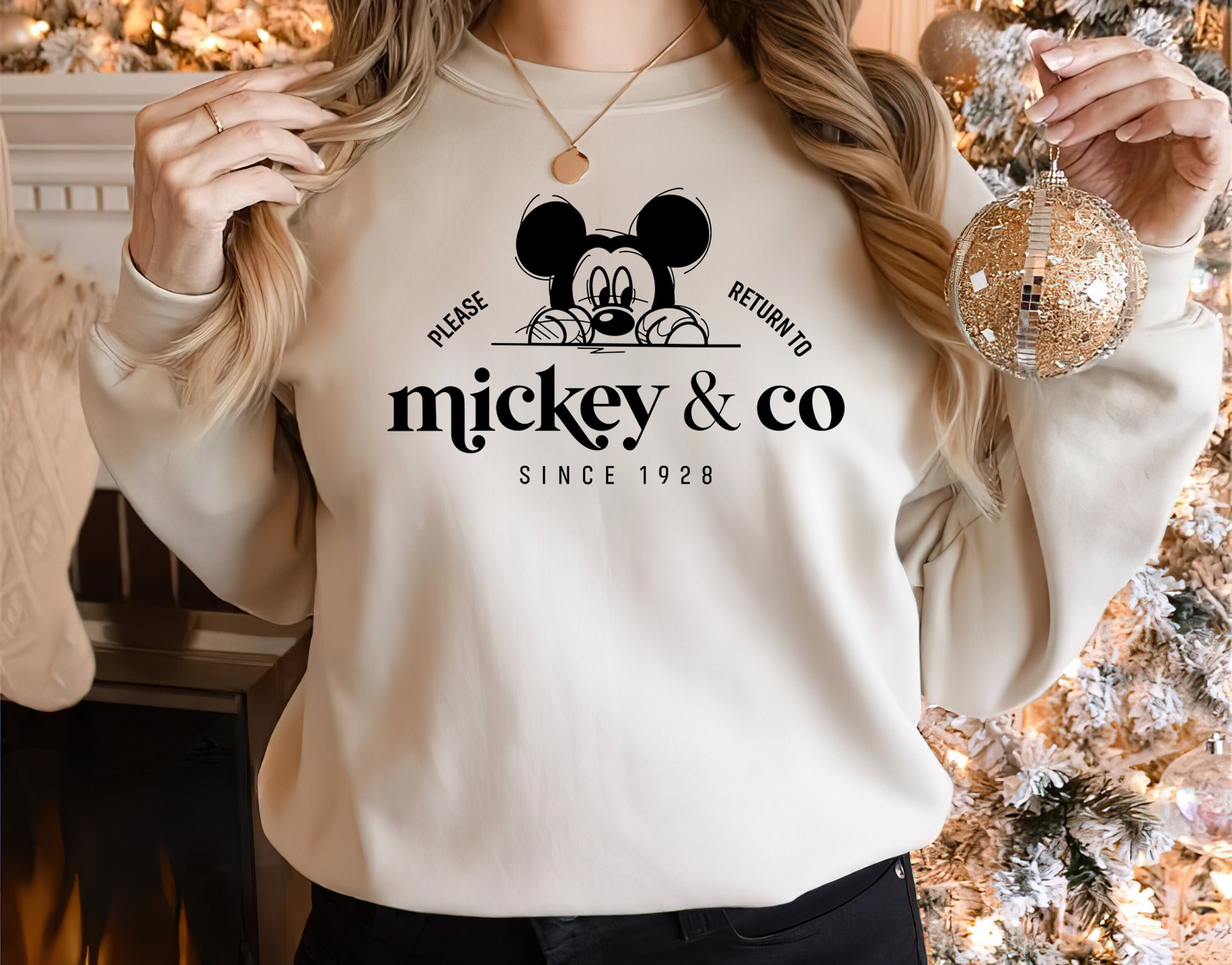 Discover Mickey And Co Sweatshirt, Vintage Disney Shirt, Vintage Mickey Shirt, Cute Disney Tshirt, Family Disney Sweater, Matching Disney Tshirts