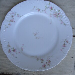 May include: A white porcelain dinner plate with a delicate floral pattern of pink and green flowers. The plate has a scalloped edge and a raised rim.