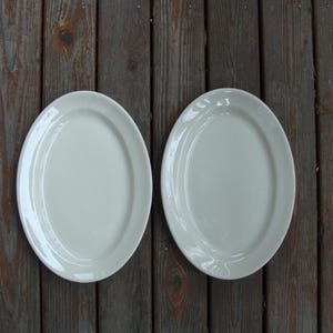 Vintage Pair of TEPCO 12" Oval Dinner Plates
