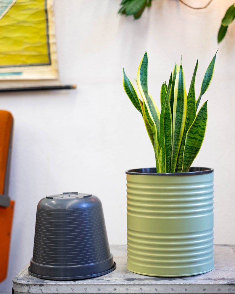 Großer Übertopf für drinnen und draußen Upcycling Blumenvase grün Minimalistisch Vase + Pflanztopf