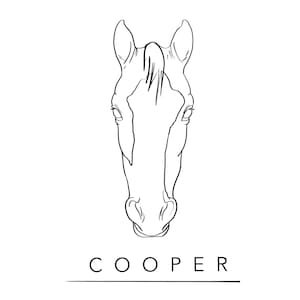 Personalized Line Art | Horse Outlines| Digital Illustration | Custom Pet Portrait | Digitally Download