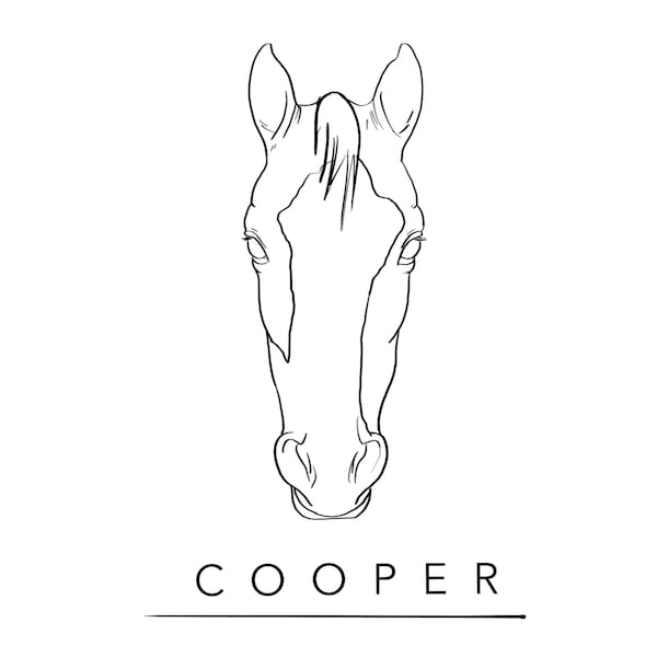 Personalized Line Art | Horse Outlines| Digital Illustration | Custom Pet Portrait | Digitally Download