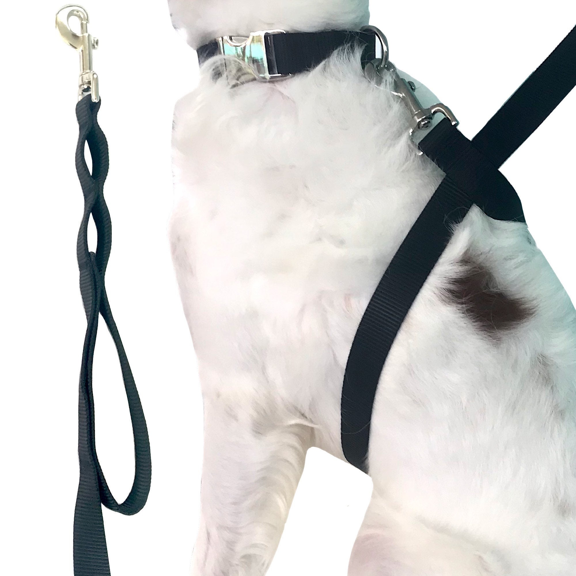 Control leash for best sale dogs