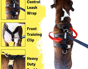 No-pull Dog Leash Instantly Stops Your Small Dog From Pulling. No Training  Required! (8-30 LBS) - Etsy