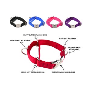 May include: A collection of dog collars in various colors: black, blue, pink, and purple. The red collar in the foreground highlights features like the patented aluminum buckle, heavy-duty rectangle rings, and control leash attachment.