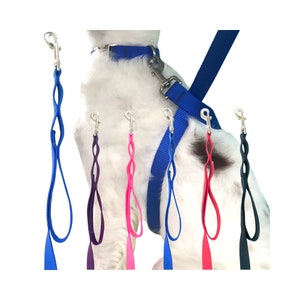 Control Leash: Stop Dogs Pulling | 6&#39; or 10&#39; Leash | Traffic Handle Included
