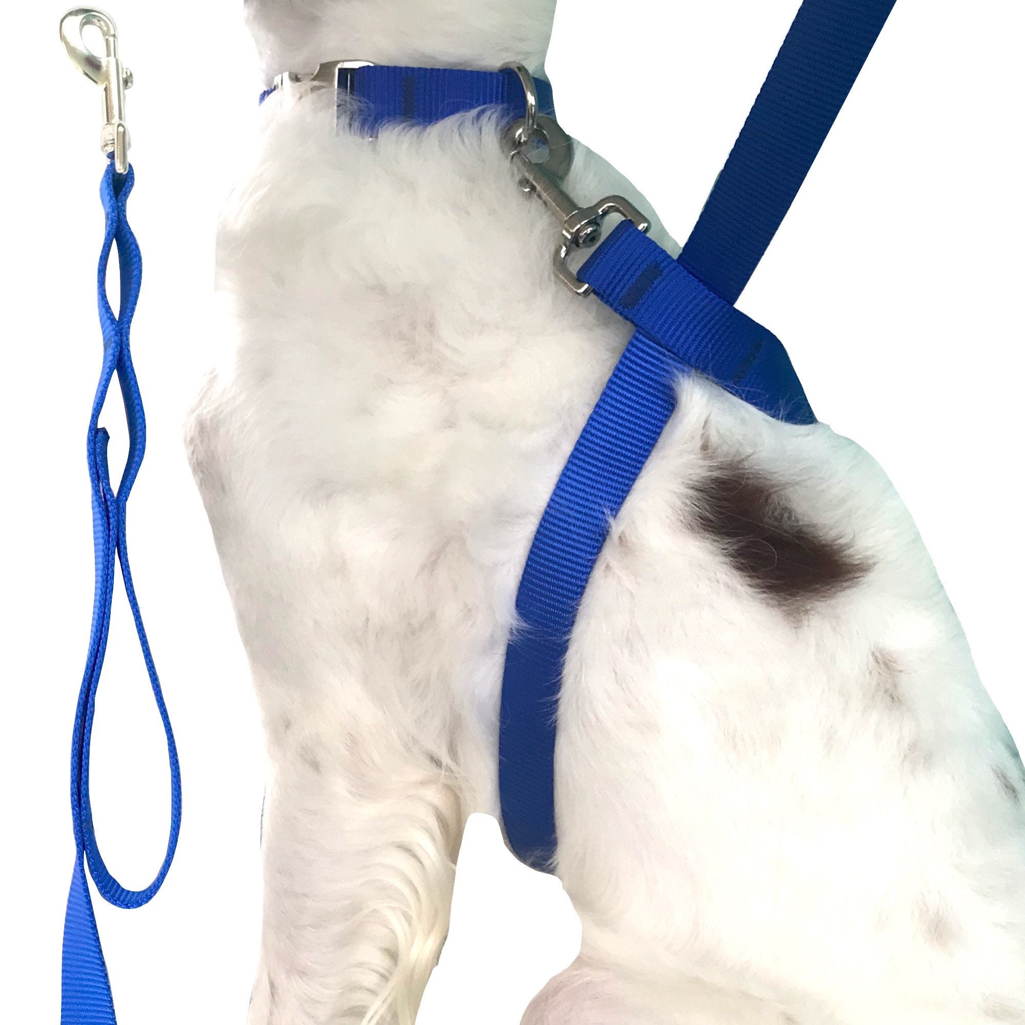 Dog leashes walmart outlet