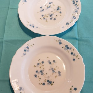 Arcopal France Veronica Forget Me Not Bowls, Vintage Dishes set of 2