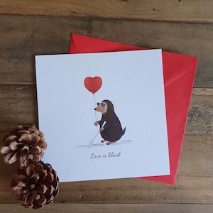 L'amore è cieco / talpa / biglietto di San Valentino / biglietto sarcastico / biglietto riciclato / biglietto della fauna selvatica britannica / insulto / scherzo / sfacciato