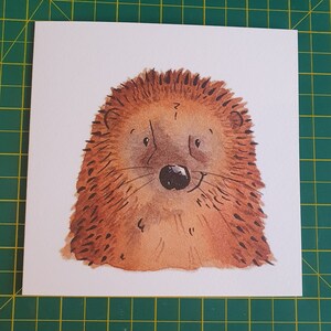 Biglietto di compleanno con riccio / ciao / biglietto ecologico di lusso / simpatico animale selvatico / faccia di riccio / biglietto con animali selvatici britannici / dolce / grazie / vuoto /