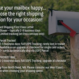 May include: Image of a gray mailbox with a red flag, set against a blurred green background. Text reads: "Make your mailbox happy... choose the right shipping option for your occasion!" and details shipping options.