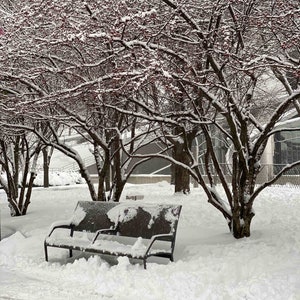 Chicago Winter