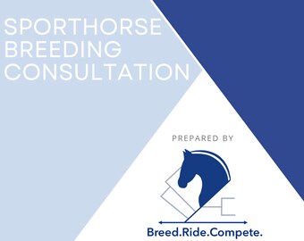 Sporthorse Breeding Consultation Service