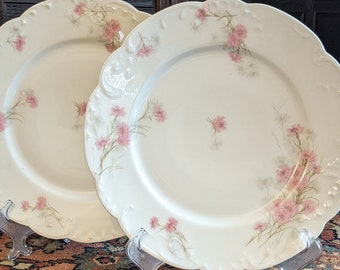 Pair of Vintage Haviland Limoges Pink Floral Dinner Plates