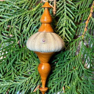 Sea Urchin Shell Ornament, Hand-Made Christmas Tree Decoration
