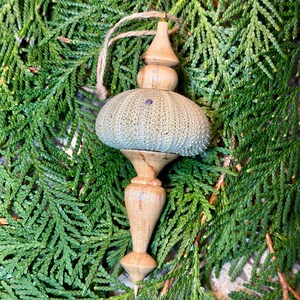 Sea Urchin Shell Ornament, 5-Inch Hand-Made Christmas Tree Decor