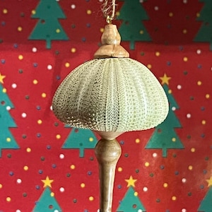 Sea Urchin Ornament