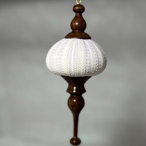 Hand-turned walnut and sea urchin shell ornament.