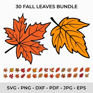 Folhas de outono SVG PNG DXF, arquivos de corte de folhas Svg de folhas de outono para Cricut, folhas para impressão em PDF arte para impressão, silhueta, Glowforge