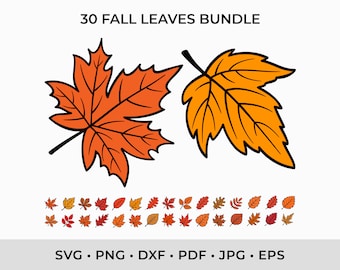 Paquete de archivos SVG de hojas de otoño, archivos de corte de hojas de otoño (descarga digital)