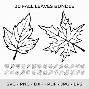 Arquivos de corte SVG de folhas de outono para Cricut Folhas de outono SVG para impressão Folhas de outono Vetor Clipart Folhas de outono Svg Silhueta de folha de outono PNG Arquivo Dxf