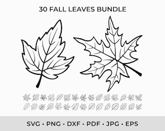 Fall Leaves SVG Bundle, Autumn Leaf Clipart (Digital Download)