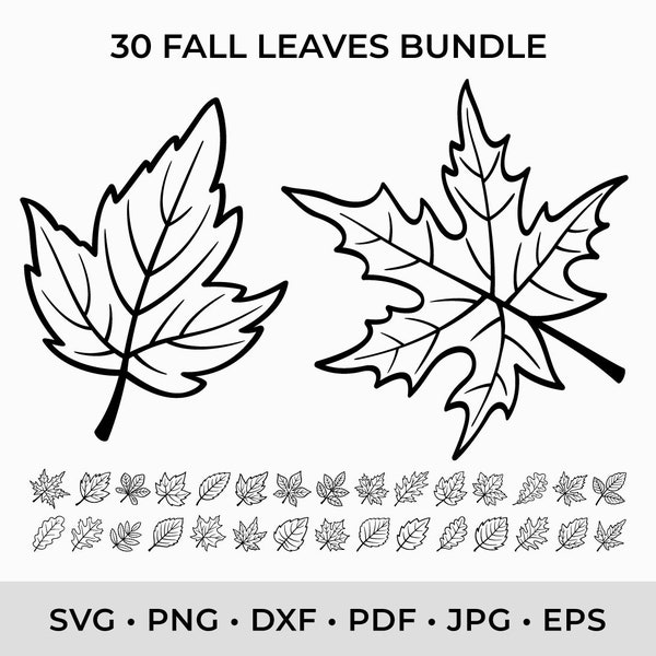 Fall Leaves SVG Cut Files for Cricut Fall Leaves SVG Printable Leaf Vector Clipart Autumn Leaves Svg Fall Leaf Silhouette Fall Png Dxf File