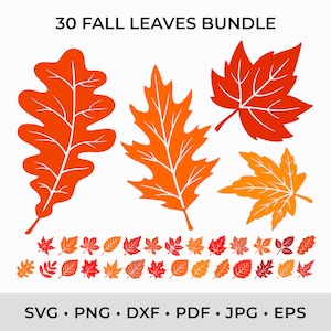 Folhas de Outono SVG PNG DXF, Folhas de Outono Svg Arquivos de Corte de Folhas para Cricut, Folhas para Imprimir Pdf Arte para Imprimir, Silhueta, Glowforge