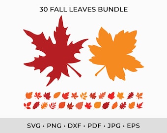 Fall Leaves SVG Bundle, Autumn Cut Files (Digital Download)