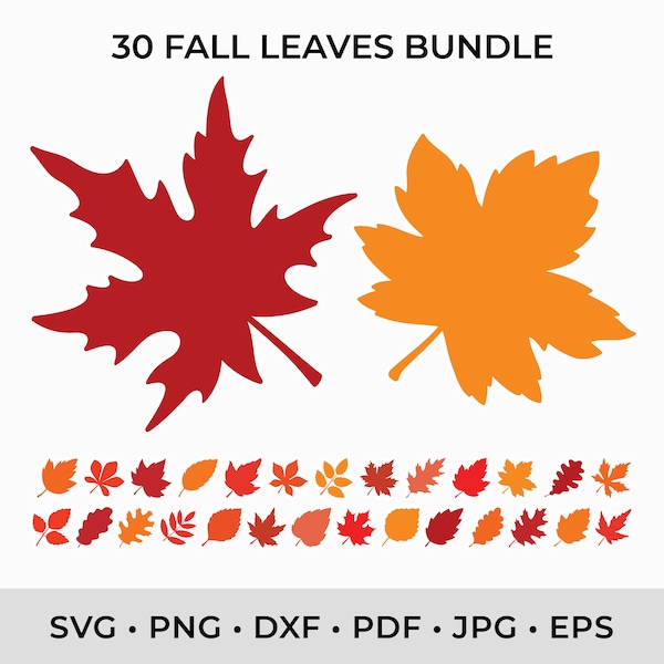 Fall Leaves SVG PNG, Fall Leaf Svg, Fall svg, Fall Leaf Svg, Fall Png, Autumn Leaf, Cut files for Cricut, Glowforge, Silhouette